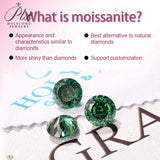 Moissanite Loose Stone Multicolor Primary Color Round Shape Hundred Sided Cut with GRA Certificate Jewelry Rings Earrings Making