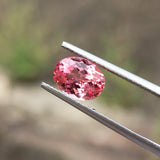 0.3-7CT Oval Shape Lab-Grown Padparadscha Loose Stones - Wonderful Anniversary Gift Option