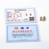 Moissanite Earrings Emerald/Ruby/Sapphire Styles 925 Silver Gift-Ready Hypoallergenic Fade-Resistant Factory-Direct Women Only