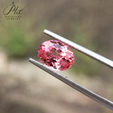 0.3-7CT Oval Shape Lab-Grown Padparadscha Loose Stones - Wonderful Anniversary Gift Option