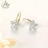 Luxury Jewelry Moissanite Stud Earrings VVS1 925 Sterling Silver Round Cut Top Engagement Wedding Jewelry For Birthday Gifts